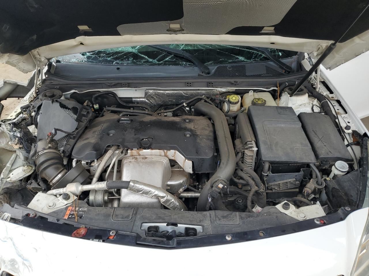 REGAL 2014 Glove Box 4885402
