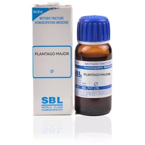 SBL Plantago Major Mother Tincture Q 30ml Free Delivery 5 to 7 days