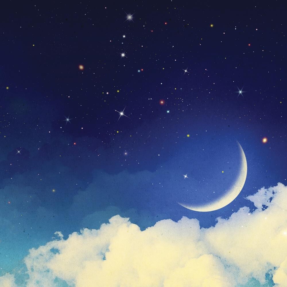 Seize the Night - Night Sky, scrapbook paper - Ella & Viv EAV976