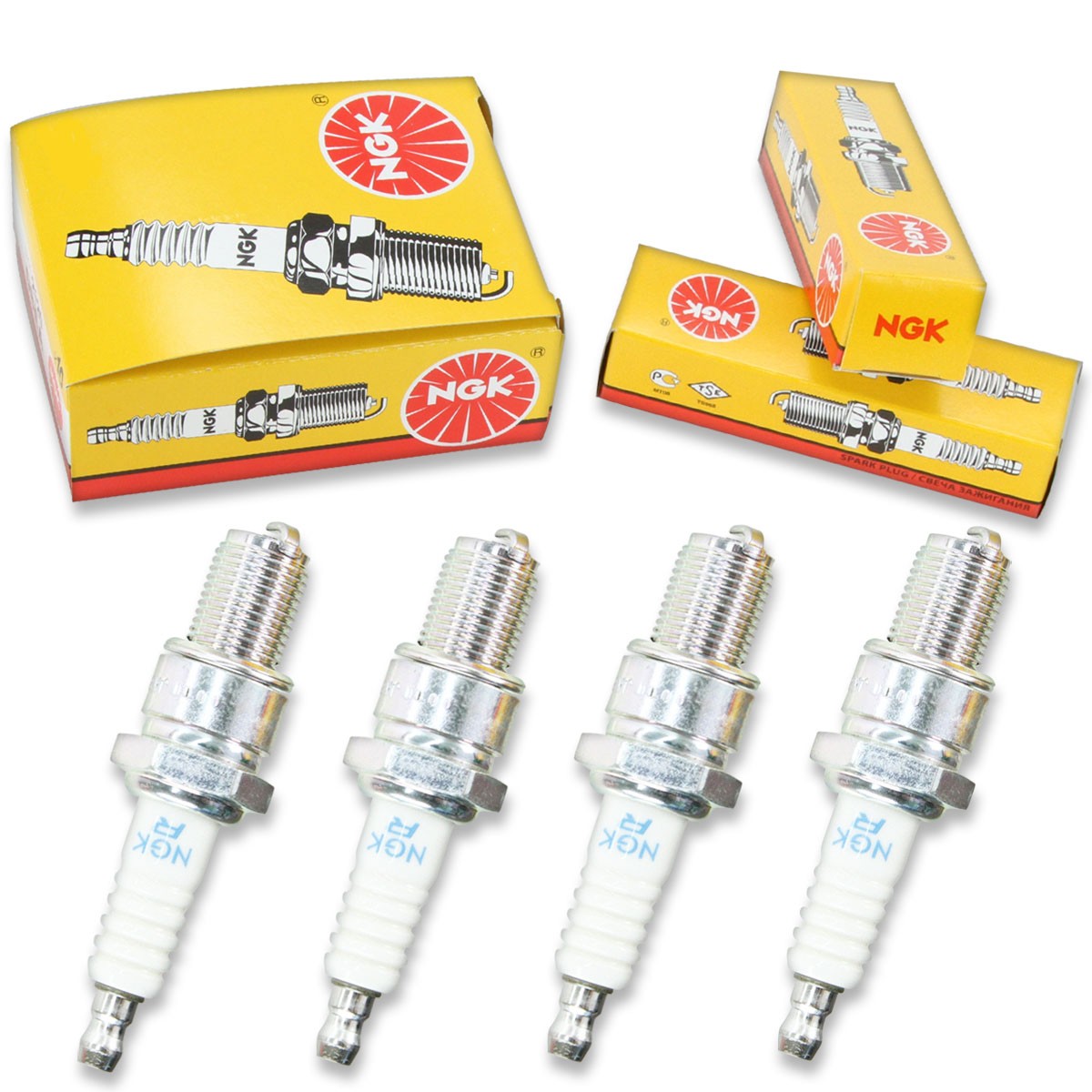 4pcs 2011 Beta EVO 300 NGK Standard Spark Plugs 297cc 18ci 2T Factory Kit vk