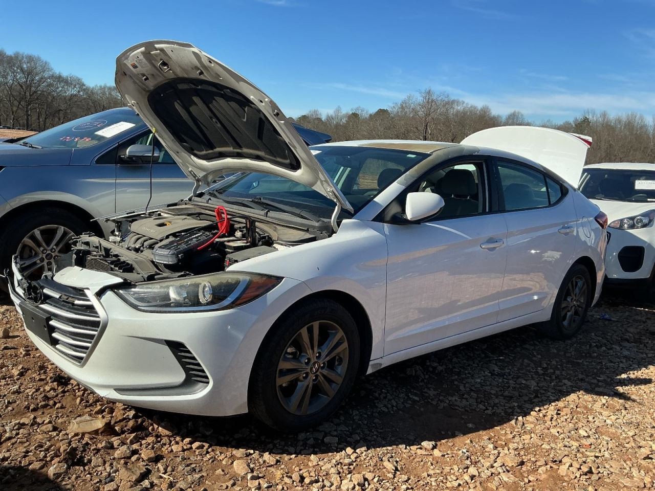 ELANTRA 2017 Glove Box 4923858