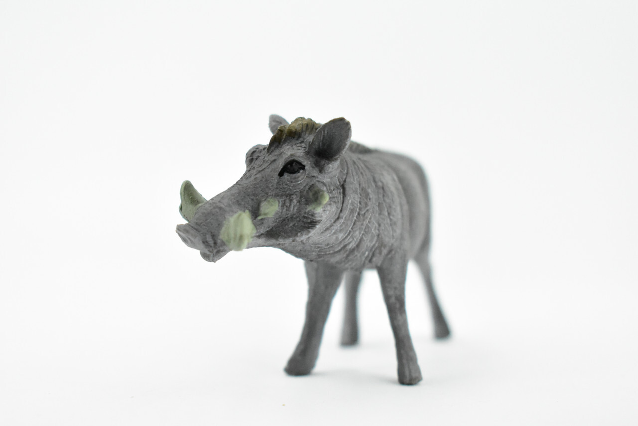 Warthog, Realistic Toy Figure, Model, Replica, Kids, Gift, 4" CH261 BB123