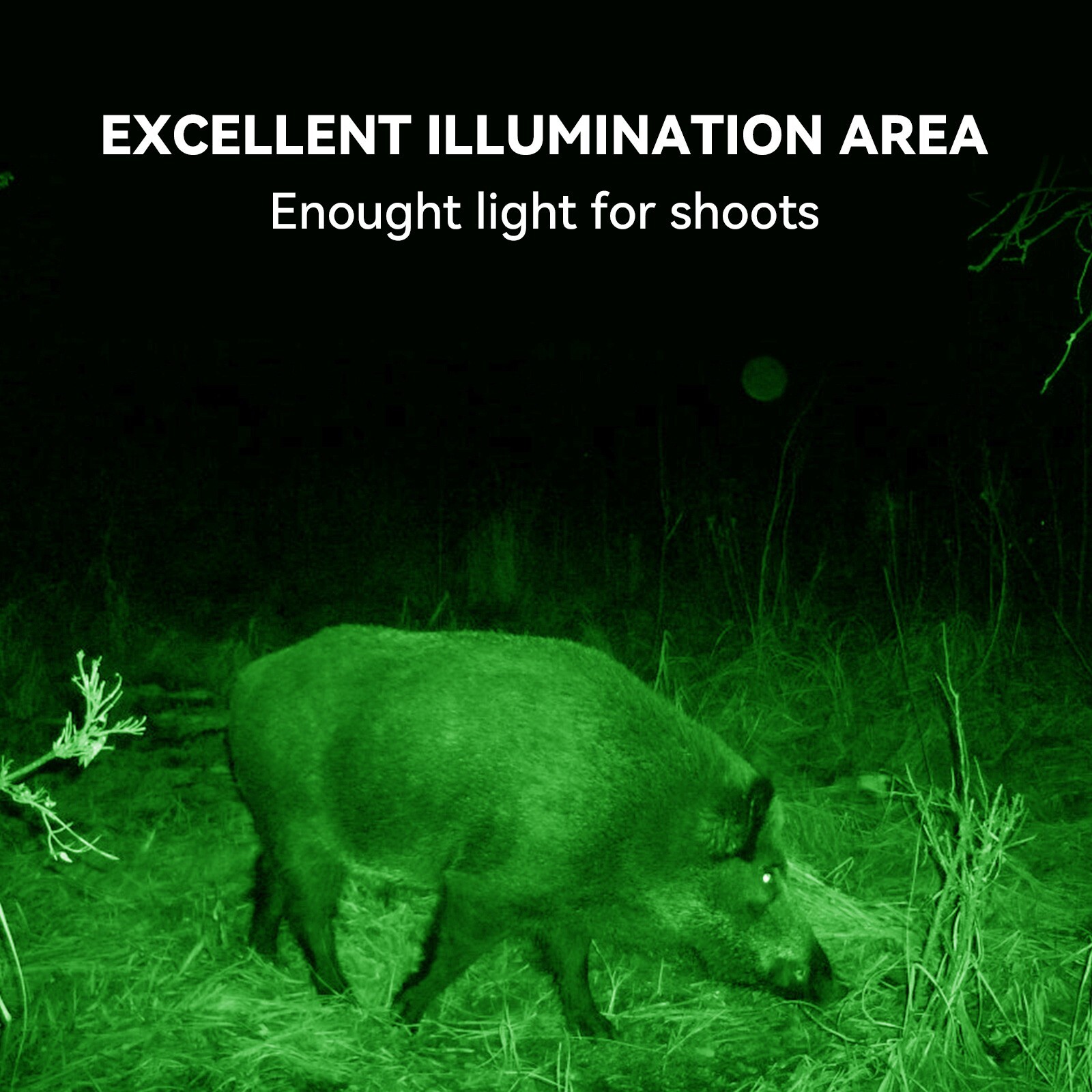 LANGY Solar hog light for hunting ,motion active green Light for Hunting