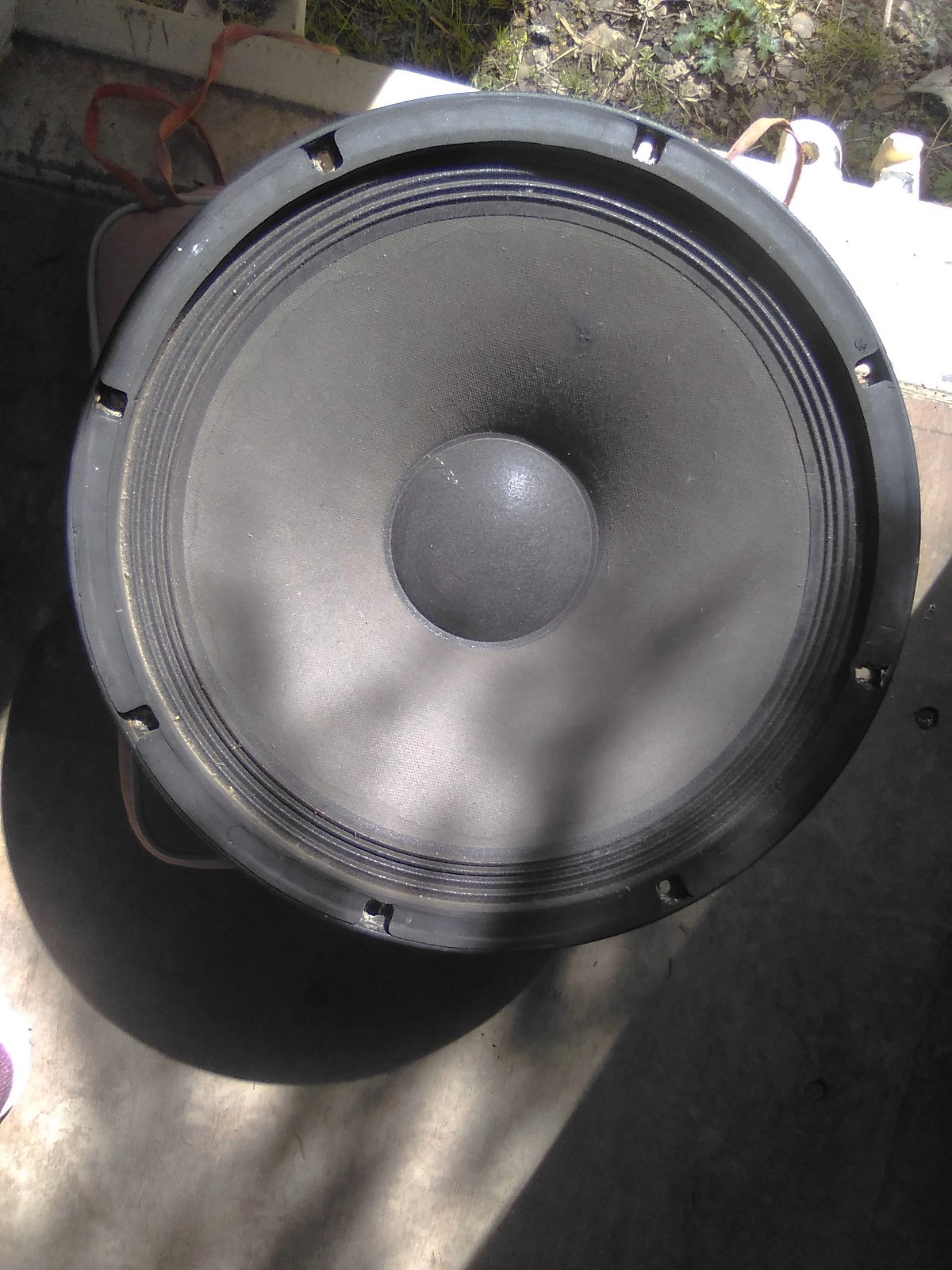 15"  SWR bass/PA speaker