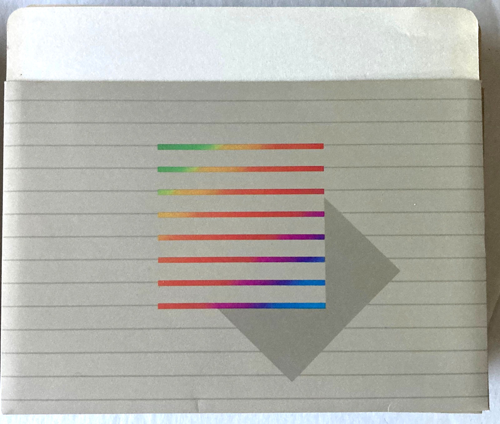 Apple II e 2c Computer 5.25" Floppy Disk Diskette sleeve envelopes Vintage