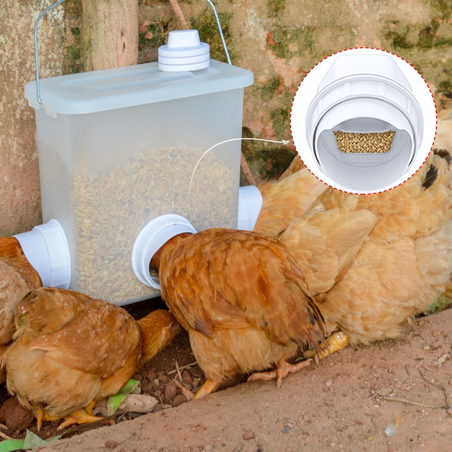 DIY Chicken Feeder Rain Proof Poultry Feeder Port Gravity Feed Kit for