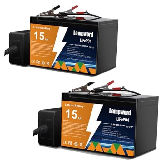 Lithium Battery 2 Packs 12V 15Ah LiFePO4 Battery 12v 15Ah-2packs-With Charger