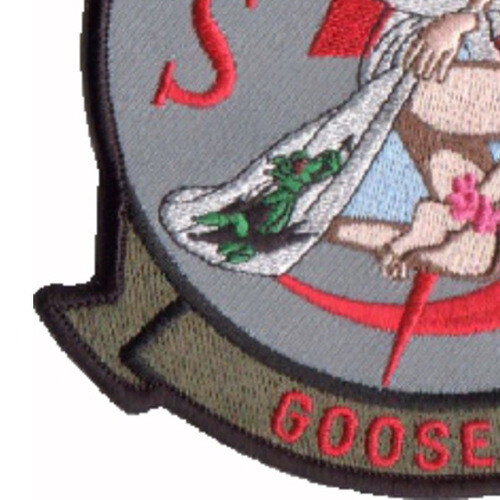 1st SOS Special Operations Squadron Patch SD Goose 39