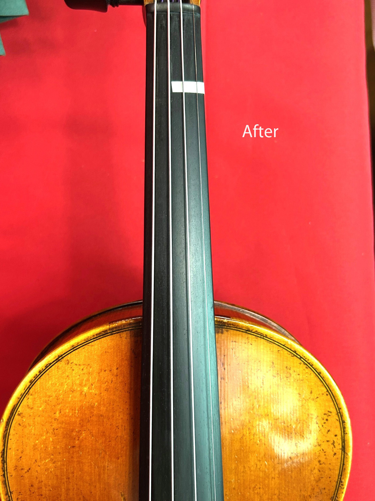 Gagliano Oblong Violin Case 4/4 Come with Rosin , Cloth , and More--Artisan Luxe