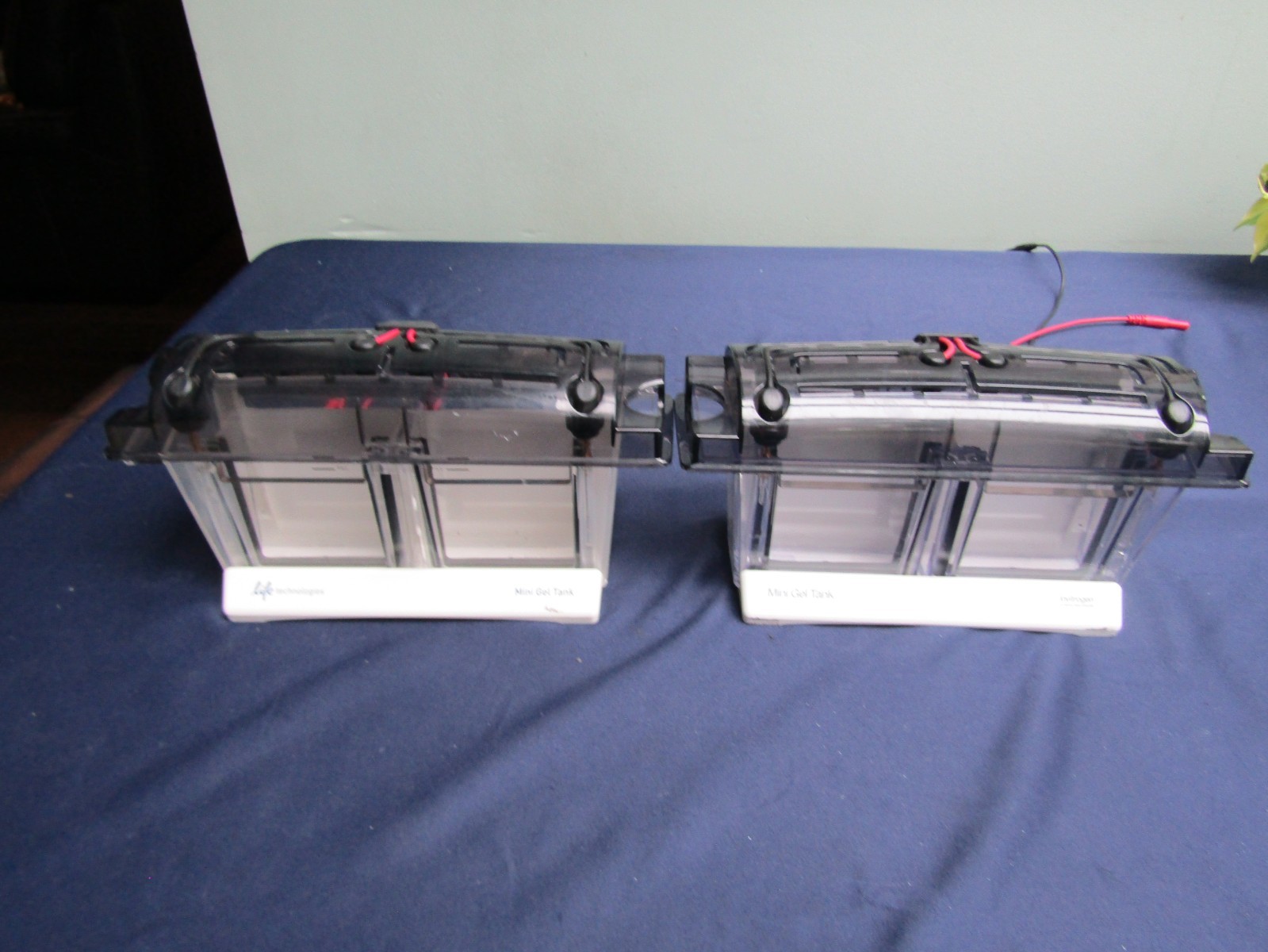 Thermo Invitrogen Mini Gel Tank only A25977 Electrophoresis Cell Pre-owned