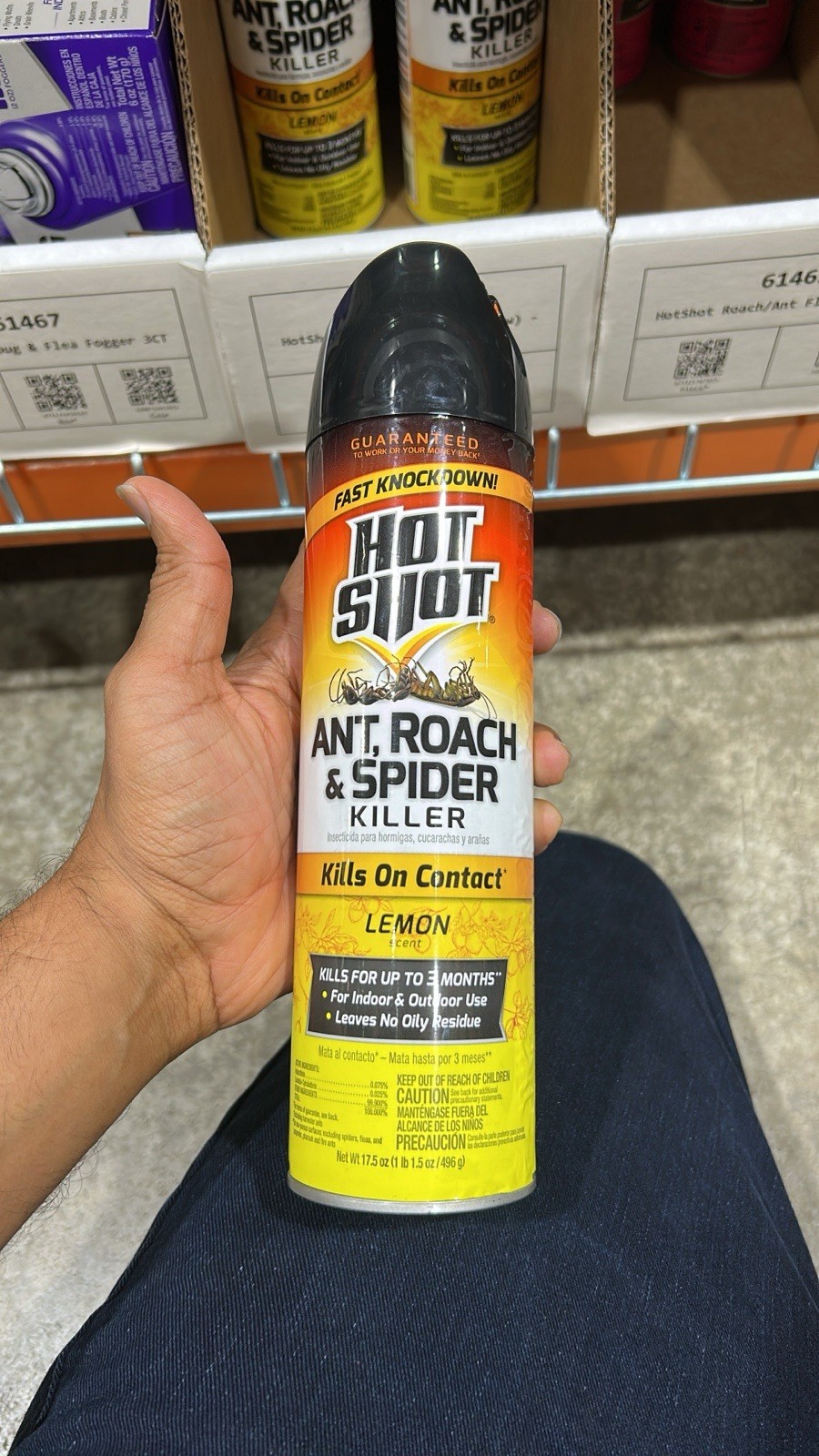 Hot Shot Ant, Roach & Spider Killer: Blossom Your Space Into a Bug-Free Zone