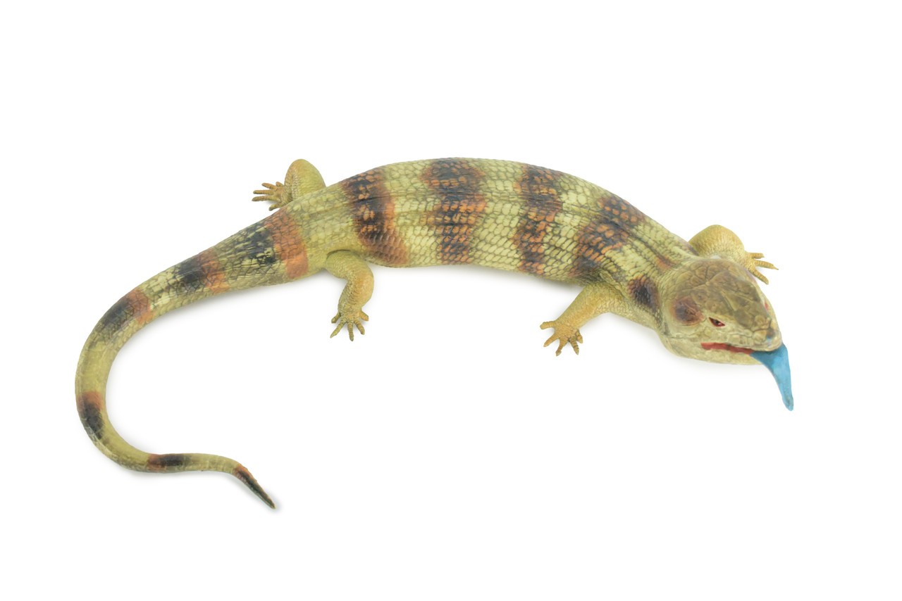 Blue Tongue Skink, Hard Rubber Lizard, Hand Painted, Realistic Toy, Gift, 15"