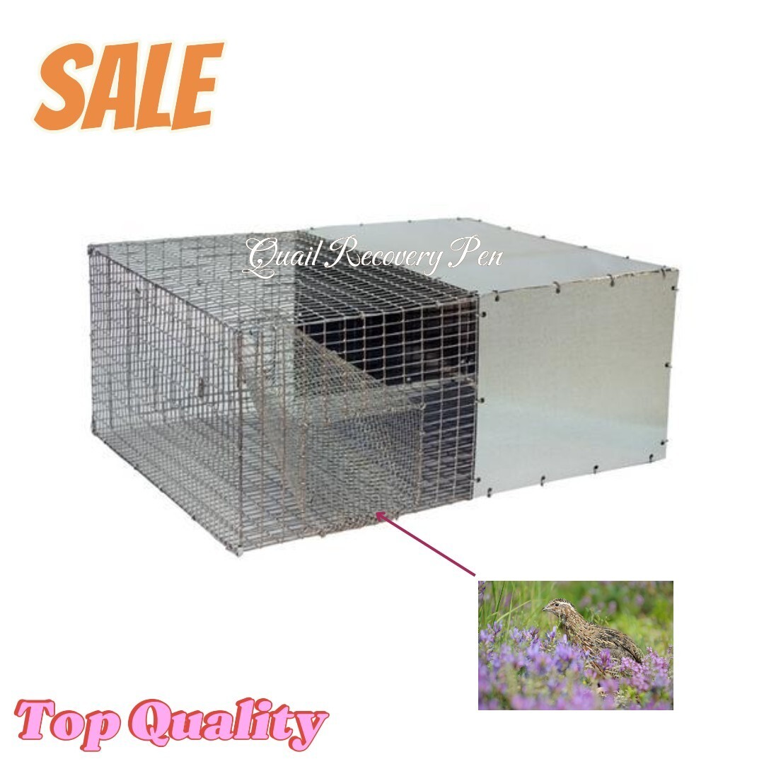 new best Quail Recovery Pen heavy gauge galvanized wire for long life