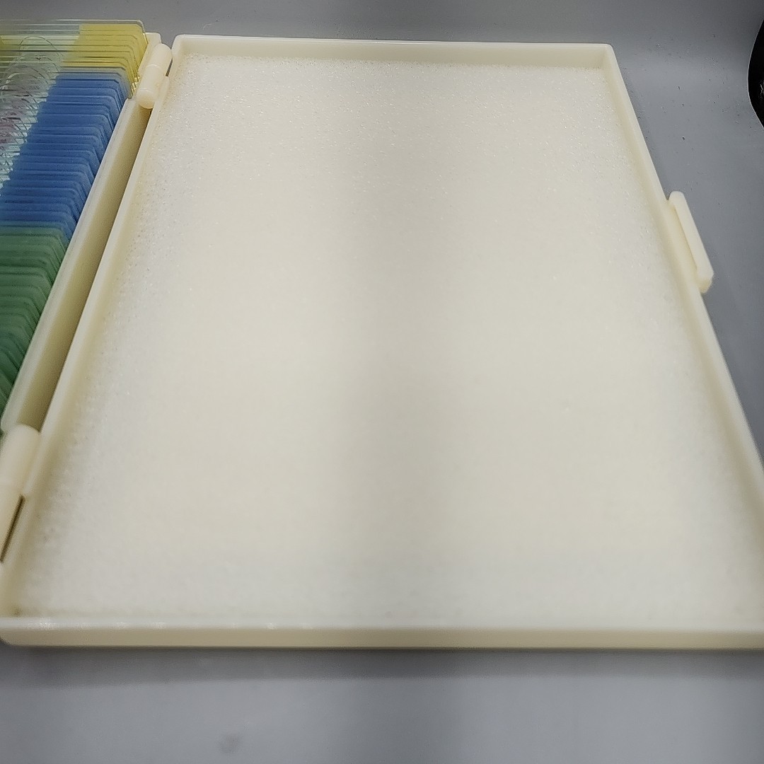 120 Lab-Grade Microscope Slides Set - Prepared Specimens for Kids & Adults, STEM