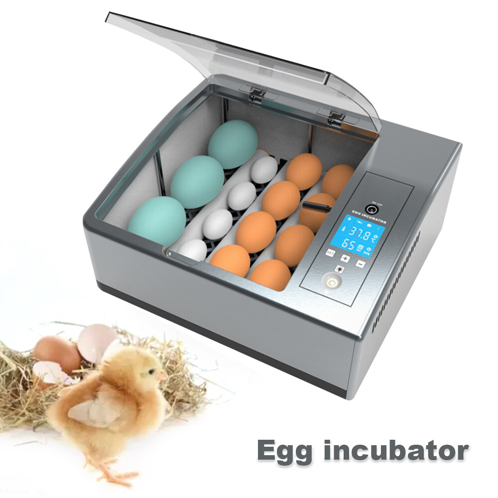 Egg Incubator 35W Automatic Chicken & Quail Hatcher for Egg Hatching