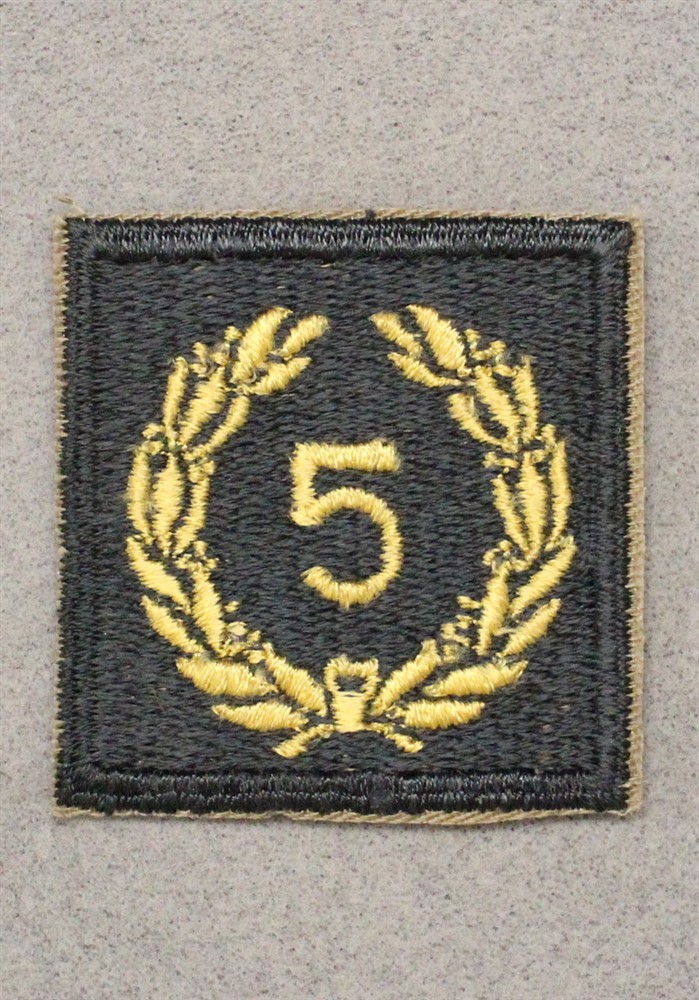 Cloth Army Badge 021: Meritorious Unit Award, 5th Award - on AG