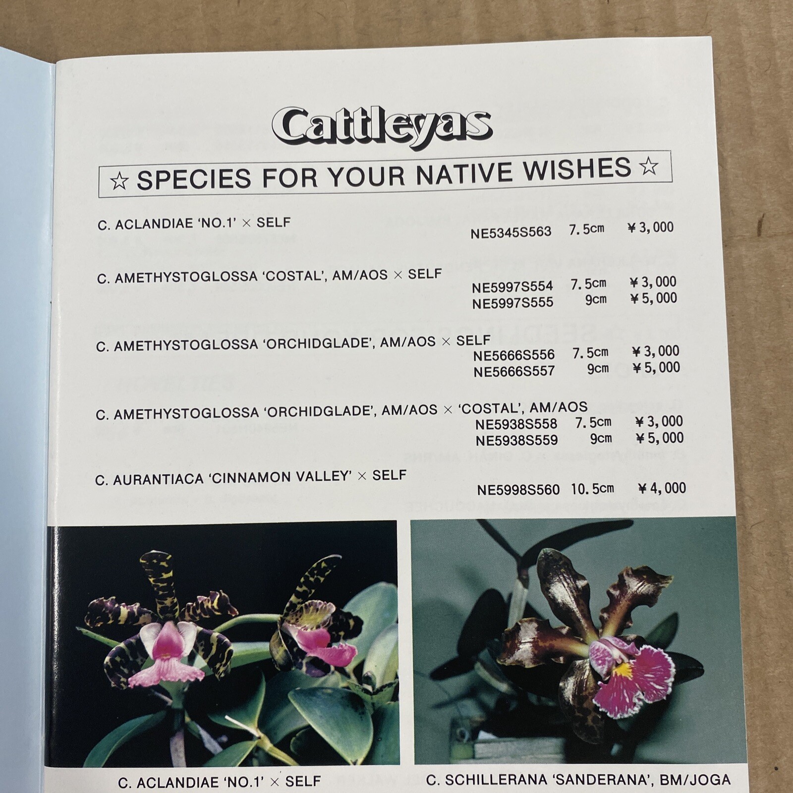Cattleyas Orchidlibrary. Catalog