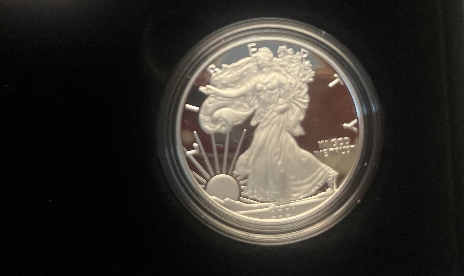 Limited Edition 2021 Silver Proof Set - American Eagle Collection