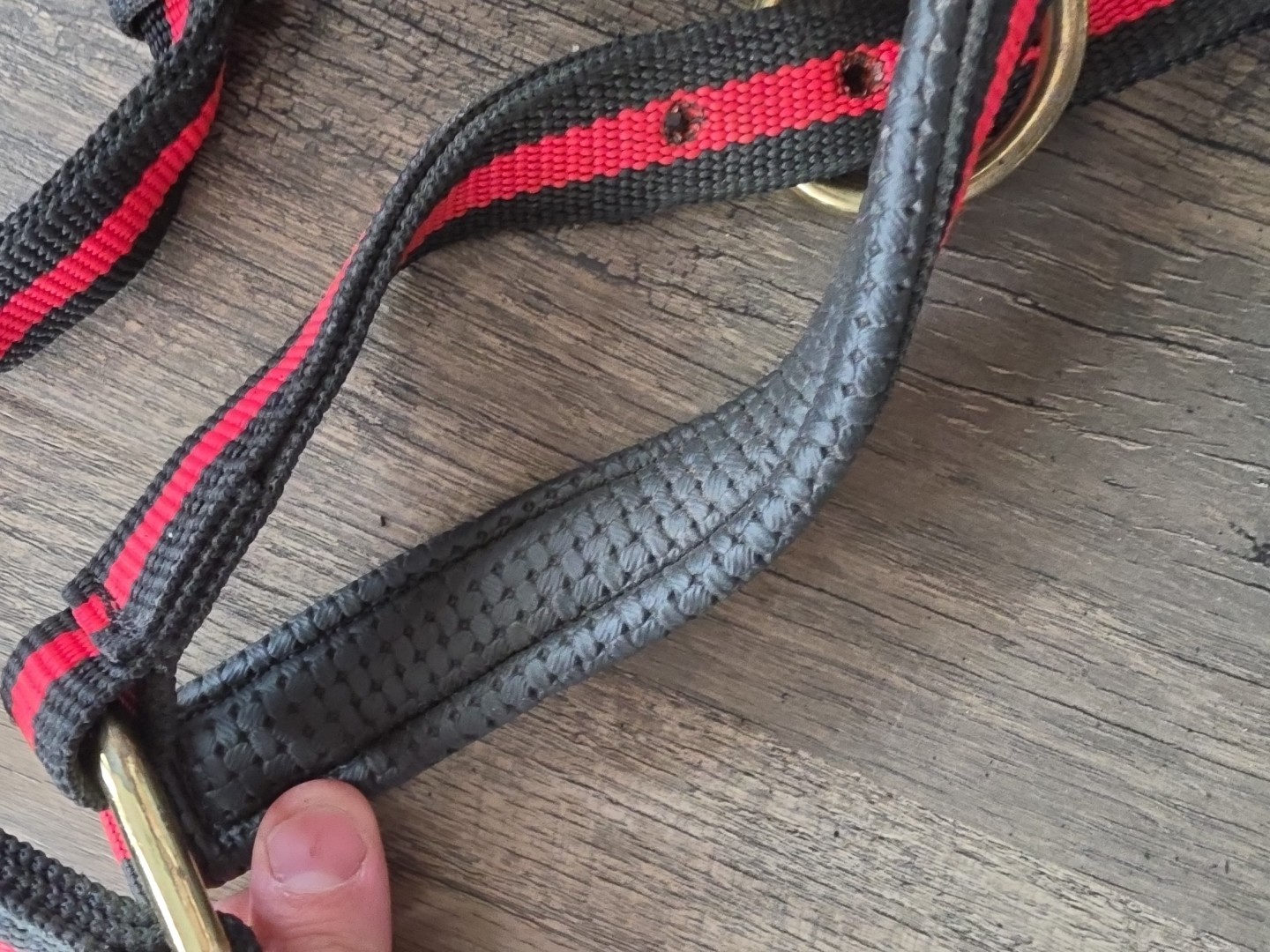 Cob Halter