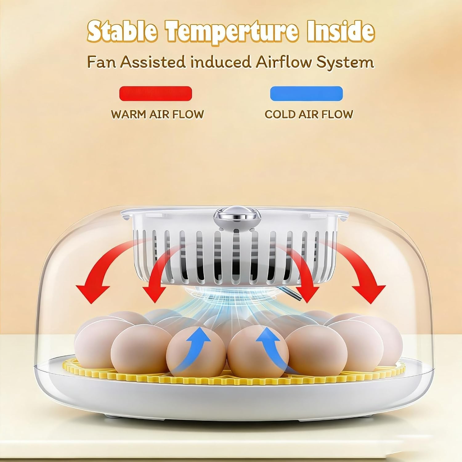 All-in-One 18 Egg Incubator: Clear View, Temperature Stability, and Easy Setup