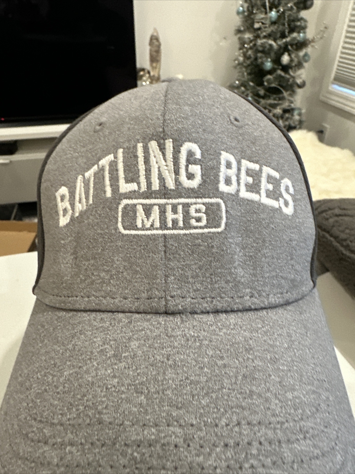 Battling Bees MHS Gray Heather bill front Dark gray back Hook Loop