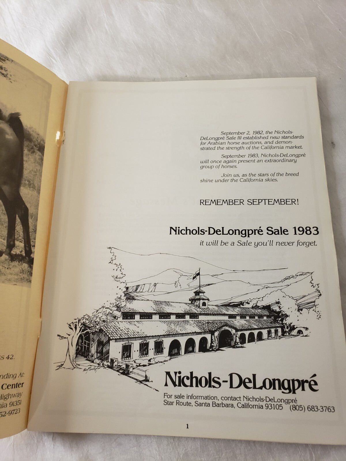 1983 All Arabian Horse Show Santa Barbara, CA San Fernando Valley