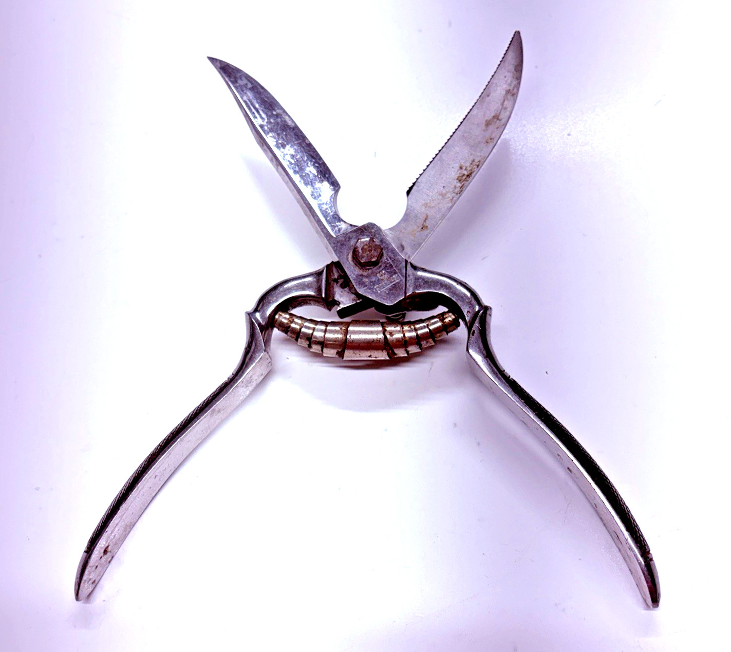 VTG Poultry Shears Stainless Maker Recosa Solingen 9.5"L Sharp-Well Used-Locking