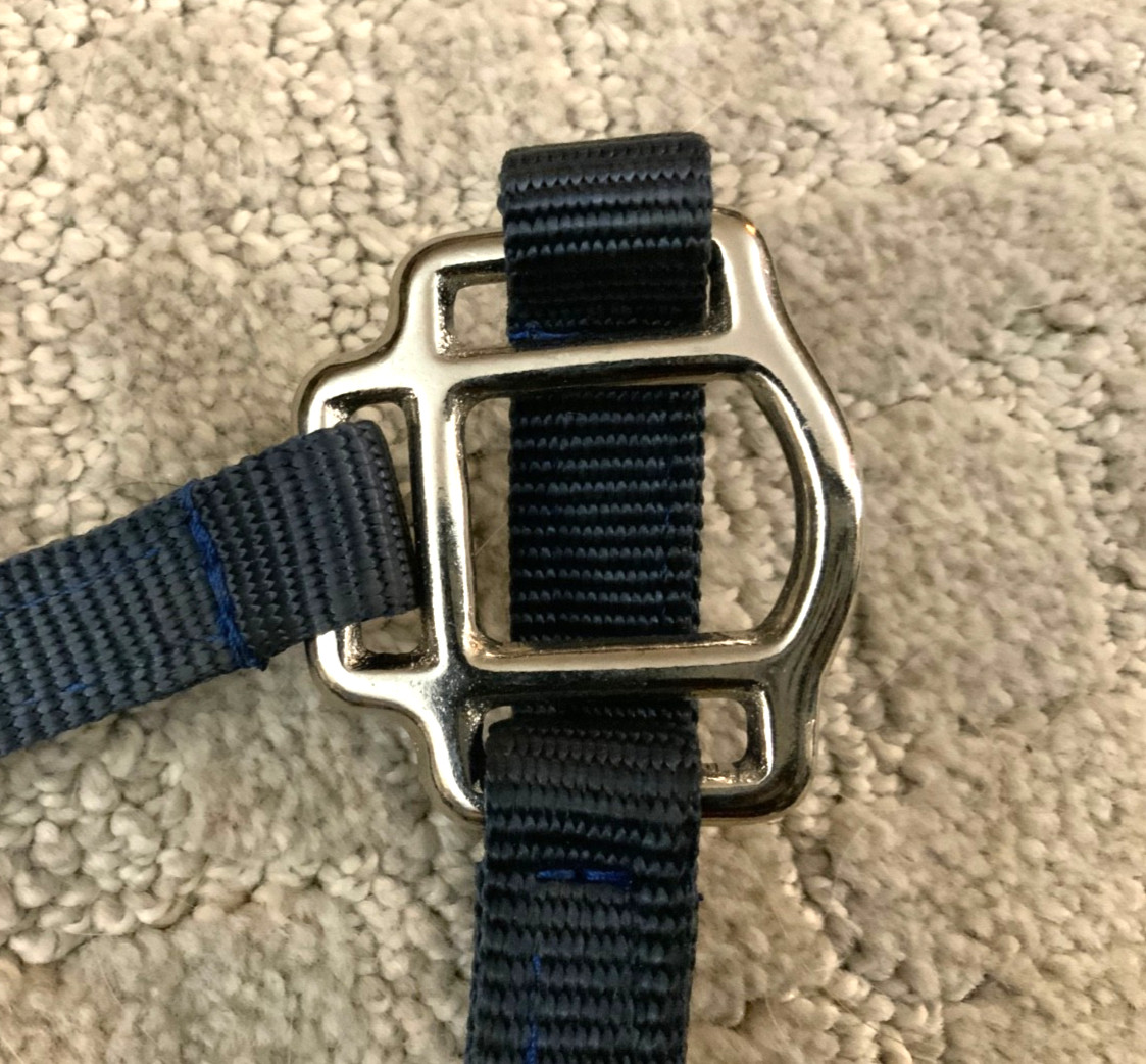 HORSE HALTER -HILLSIDE
