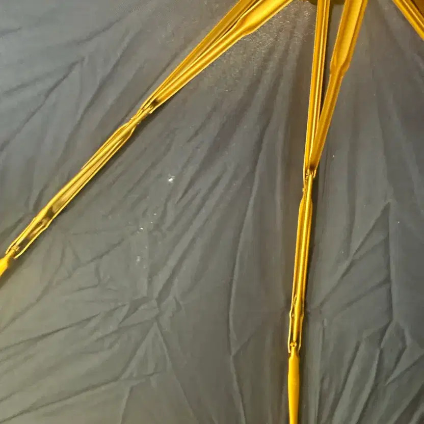 Versace Umbrella with Gold Pattern