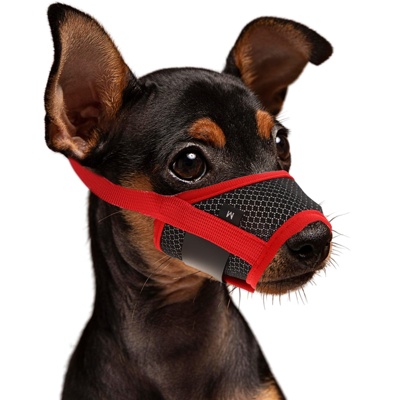 Soft Nylon Muzzle - Breathable Mesh Fabric, Anti Barking, Comfortable  Adjust...