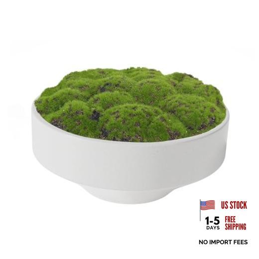 New Moss Bowl, Handmade Ceramic Bowl. 11" Artificial Moss Centerpiece White