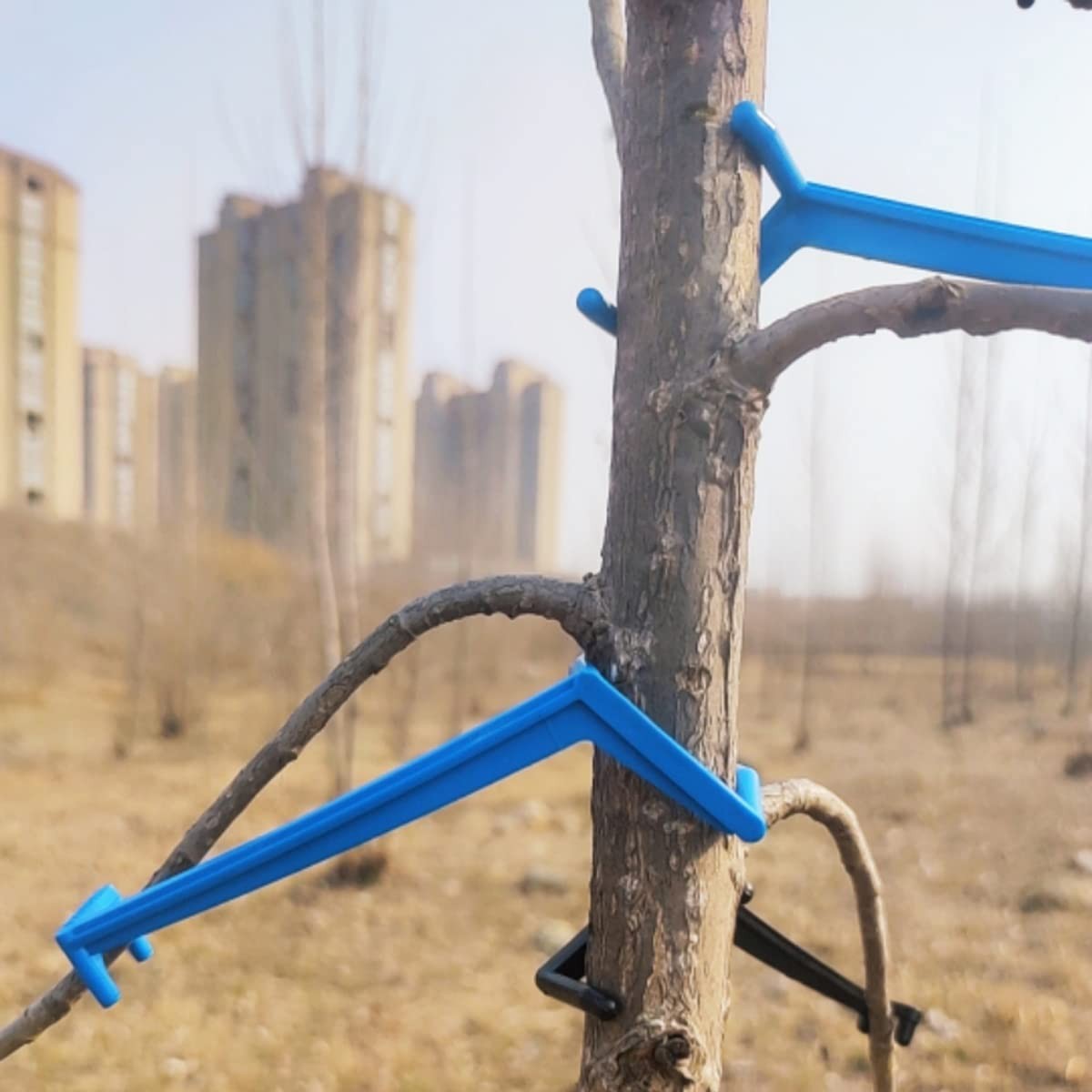 50Pieces Tree Spreaders Fruit Tree Branch Spreader Apple Tree Limb Spreaders ...