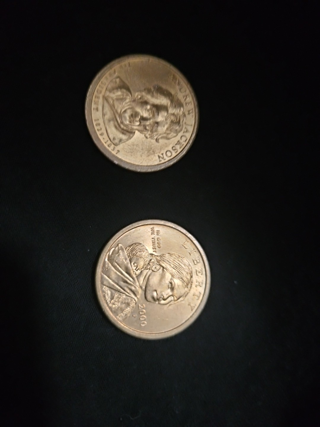 Sacagawea And Andrew Jackson Dollar Set