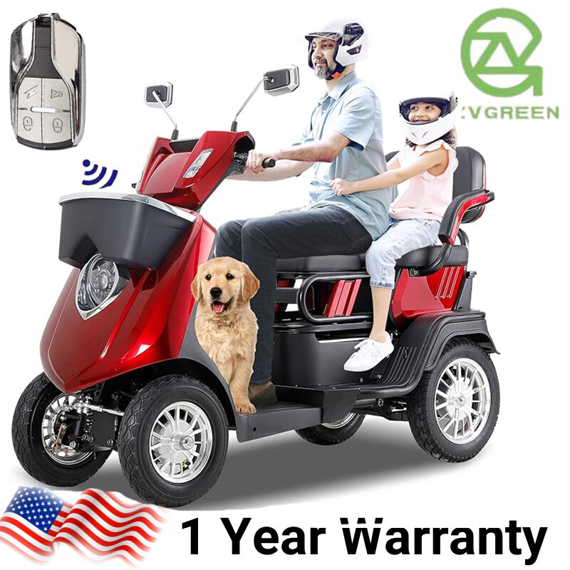 2 Seater Electric Scooter Mobility Scooter for Adult 1000W Anti-Theft Remote Key