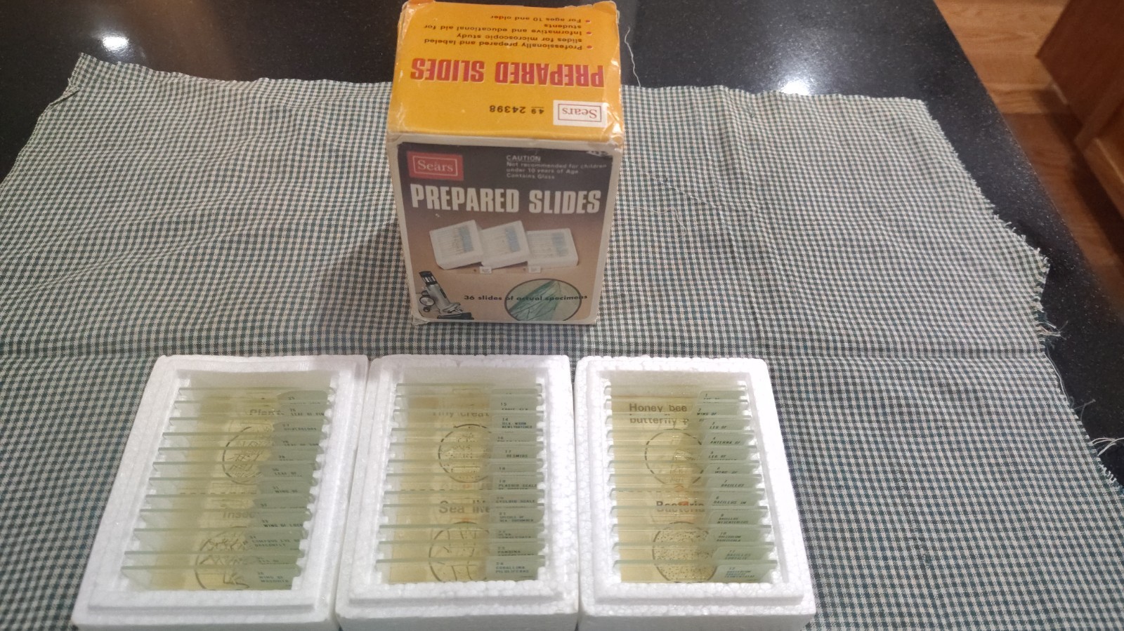vintage Sears  prepared slides 49-24398 for ages 10 and older microscopic study