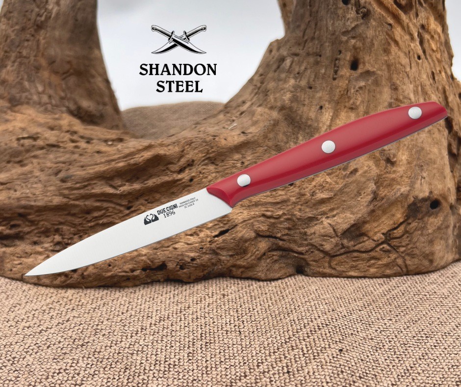 Due Cigni Kitchen Paring Knife 3.94" Blade 2C 1002 R Red Handle Italy Ergonomic