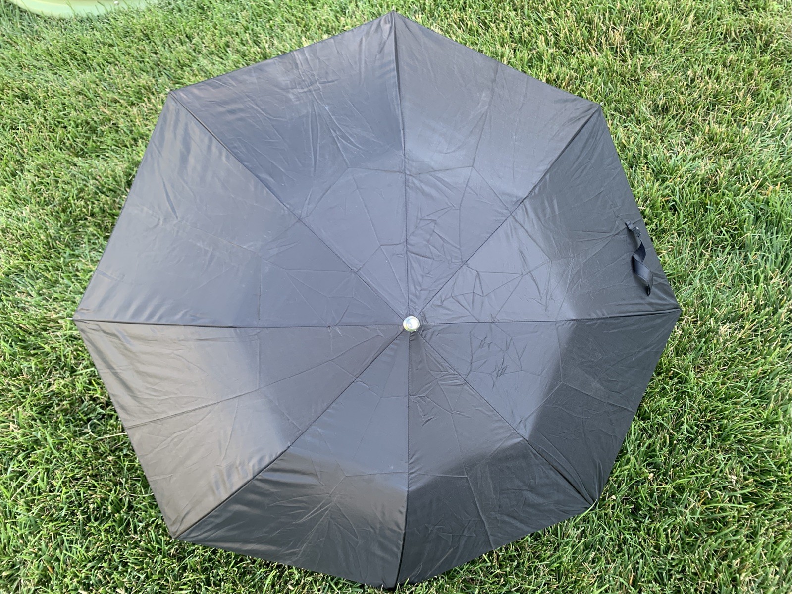 Conch Compact Folding Black Umbrella and Case