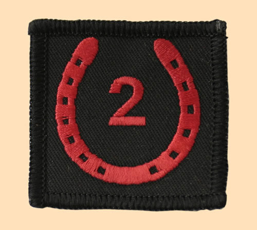 NEW OFFICIAL 2 [NC] Signal Regiment TRF