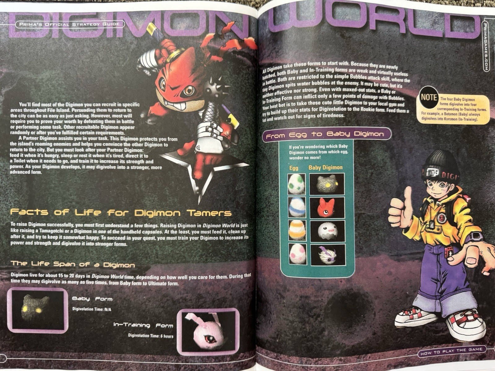 Digimon World Hardcover Strategy Guide Custom