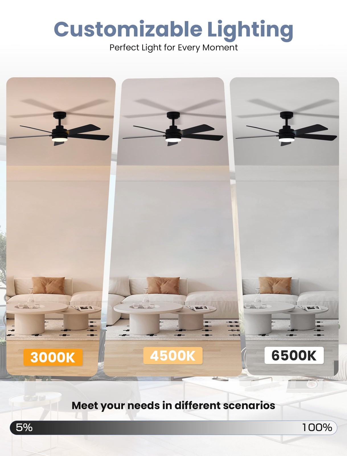 Dolavast 48 Inch Ceiling Fan with Lights and Remote, Downrod Mount, Sloped Ce...