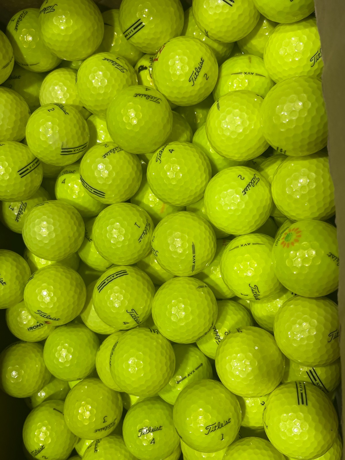 Titleist AVX Yellow 24 Pack Used Golf Balls AAAAA 5A Mint Bulk Recycled Balls