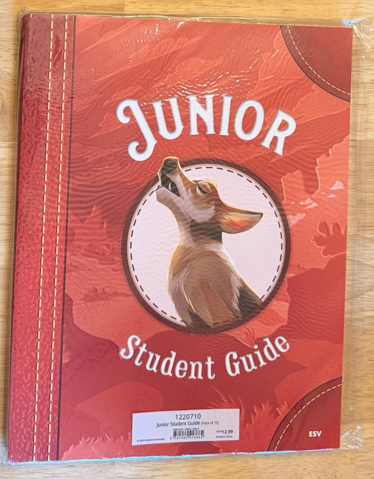 Wonder Junction Junior Student Guides, Pkg of 10