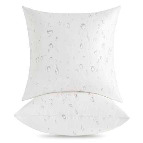 20x20 Outdoor Pillow Inserts (Pack of 2) - Square 20 x 20 (Pack of 2)