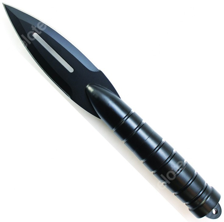Smith & Wesson Spear Pnt Fixed Black 3Cr13 Stainless Steel Blade 10.7''  SW8 NEW