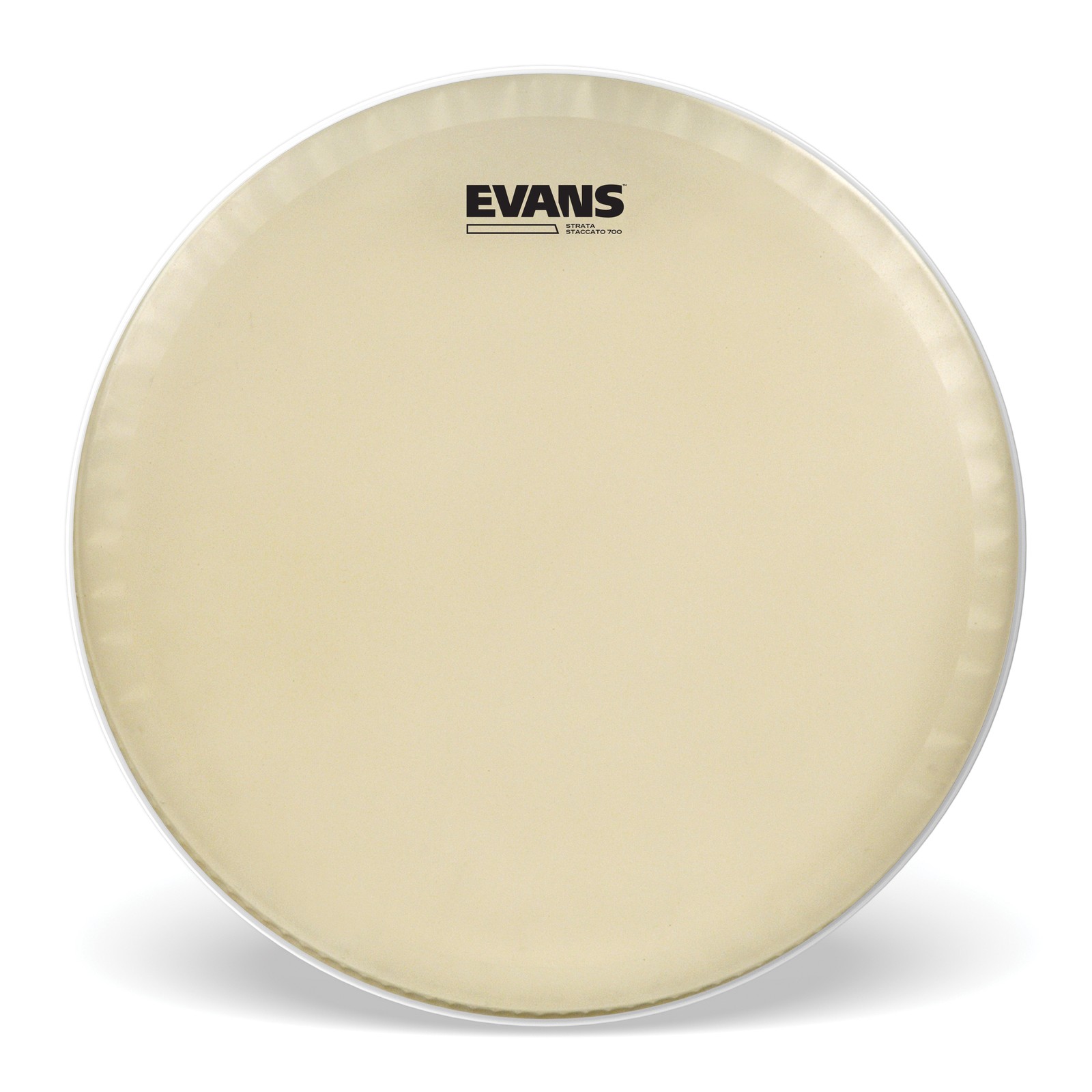 EVANS Strata Staccato 700 Concert Snare Drum Head, 14 Inch