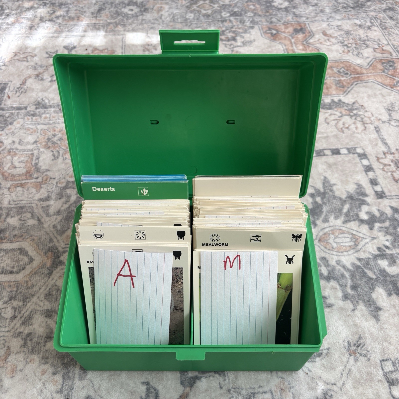 Vintage Homeschool Illustrated Wildlife Treasury 280 Animal Fact Cards Green Box