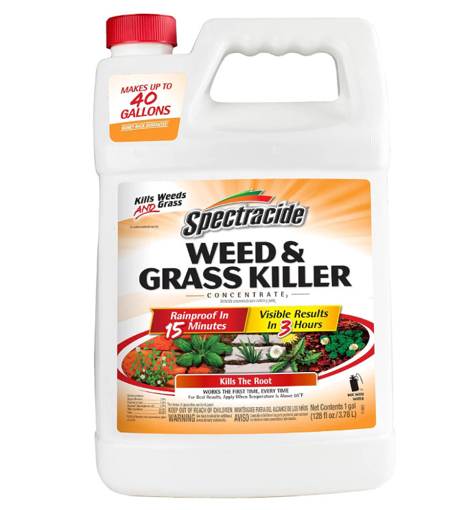 Weed & Grass Killer Concentrate – 1 Gallon for Patios, Walkways, Driveways