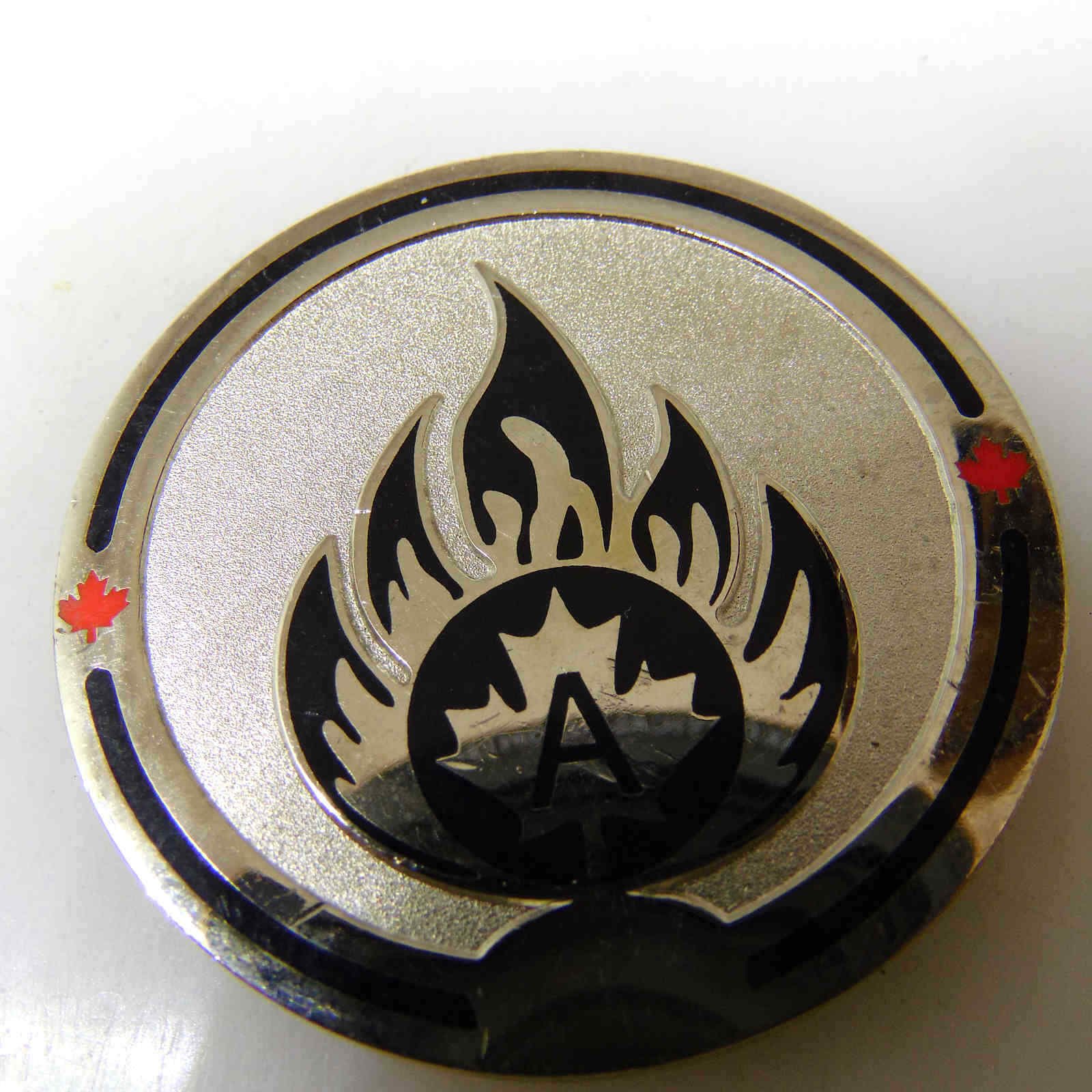 ROYAL CANADIAN LOGISTICS SERVICE CHALLENGE COIN