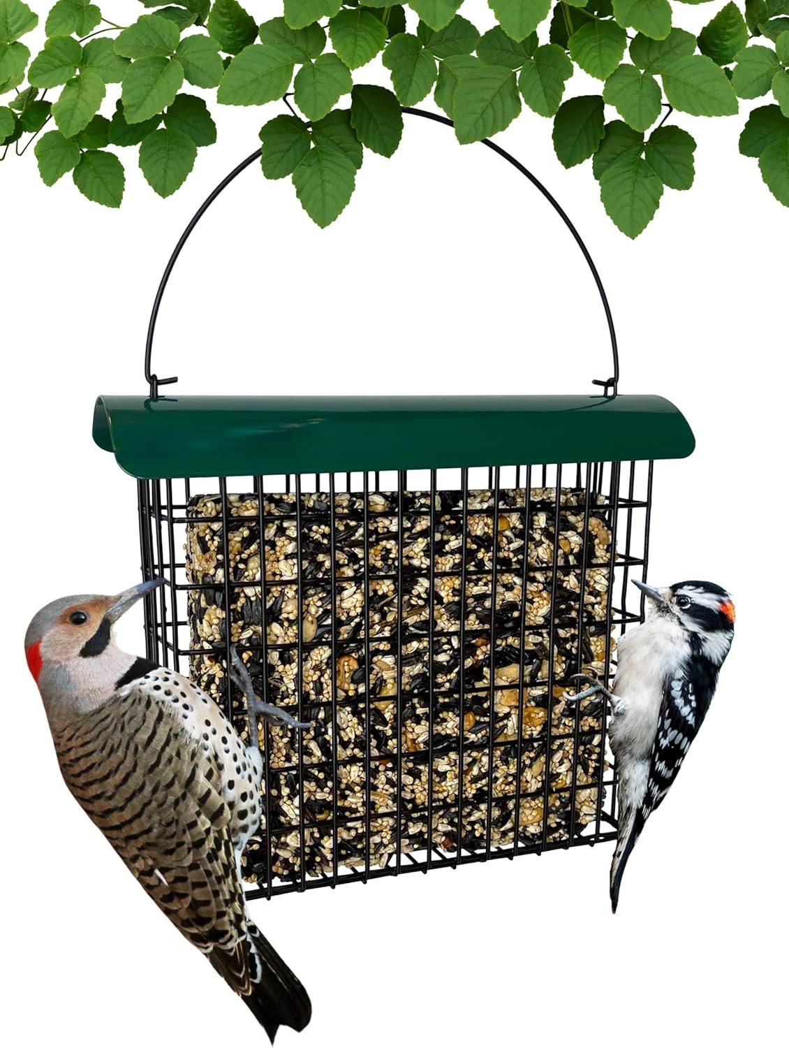 Backyard Essentials Large Suet Feeder - Metal Woodpecker Cage with green