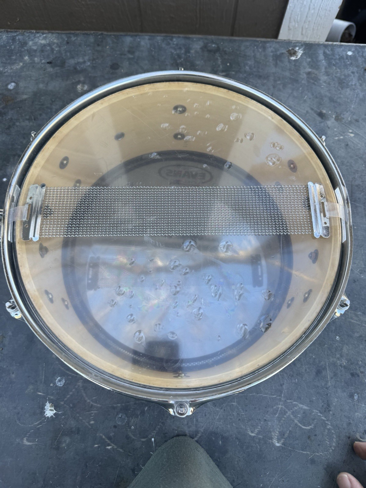 Evans Level 360 Drumhead As Is